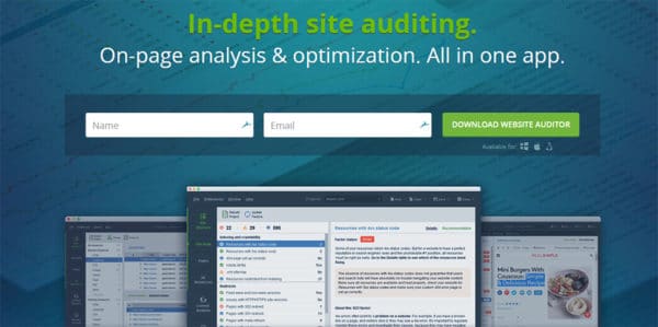 Website Auditor home page