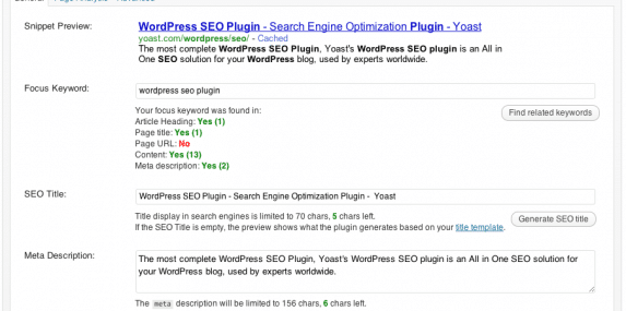 WordPress SEO Plugin Keyword